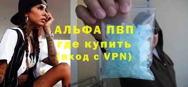 ПСИЛОЦИБИНОВЫЕ ГРИБЫ Михайлов