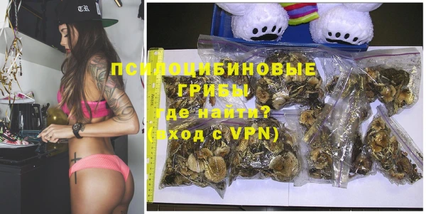 хмурый Алзамай