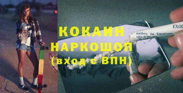 хмурый Алзамай