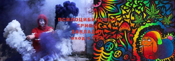 соль ск Алексин