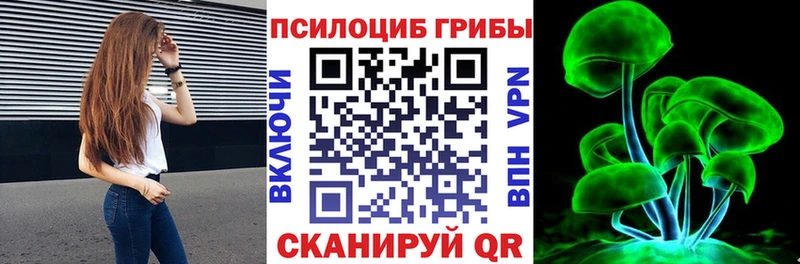 hydra вход  купить закладку  Саранск  Псилоцибиновые грибы мухоморы 